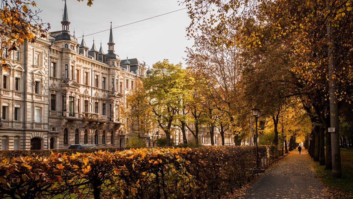 Herbstliche Willy-Brandt-Anlage mit Blick auf die Häuserzeile an der Hornschuchpromenade.