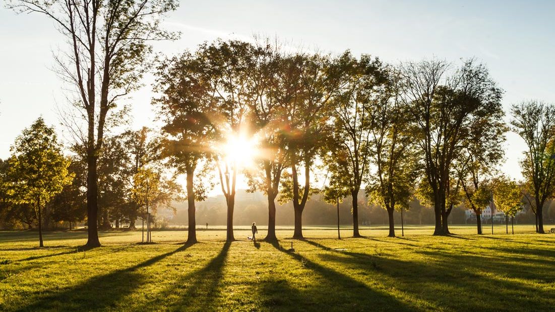 Blick auf den Käppnerweg im Fürther Wiesengrund bei Sonnenuntergang.