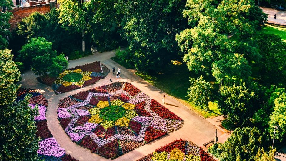 Blick von oben auf das Blumenmeer vor der Fürther Auferstehungskirche.