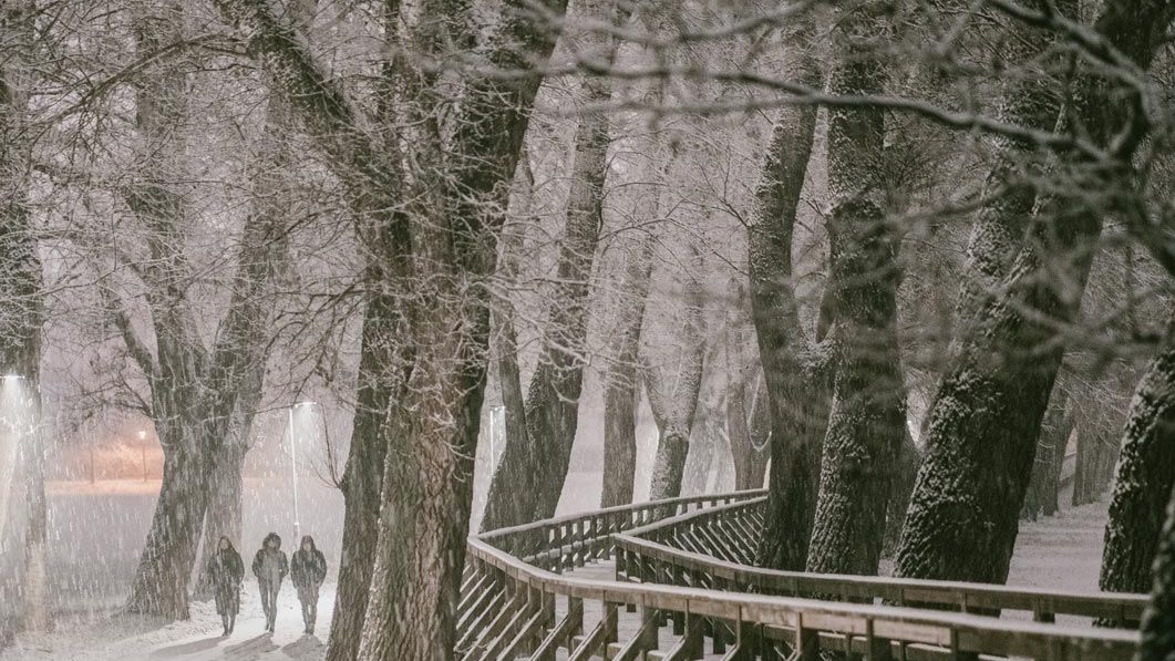Pappelsteg im Fürther Wiesengrund bei abendlichem Schneefall.