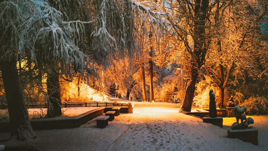 Verschneiter Fürther Stadtpark am Abend.