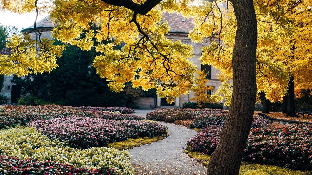 Herbstliches Blumenmeer mit Blick auf die Fürther Auferstehungskirche bei Sonnenschein.